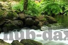 av免费在线观看麻豆-关于AV免费在线观麻豆平台的选择与慎重态度