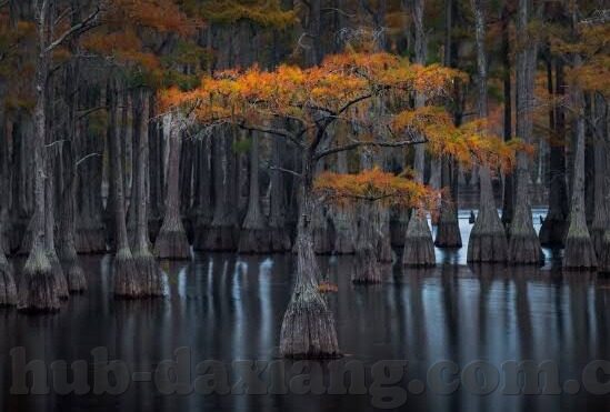 东京热人妻-东京热人妻，都市繁华中的温情与选择