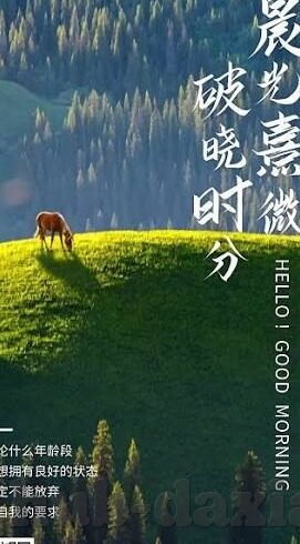 果冻传媒精品视频-探索果冻传媒精品视频，创意与品质的完美融合