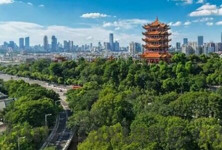 麻豆成人av在线-数字时代的隐秘角落，网络XX视频的迷思与思考