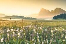 麻豆视频app污下载-当心网络陷阱，理智对待视频应用的下载选择