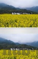 麻豆文化传媒花季-麻豆文化传媒与花季绽放，青春与梦想的交响
